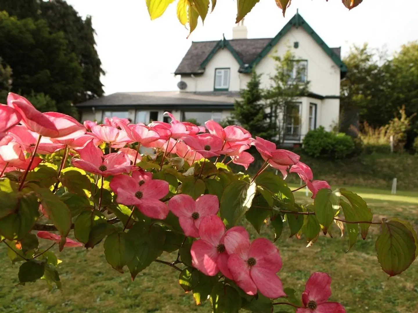Robin Hill House B&B EXTERIOR