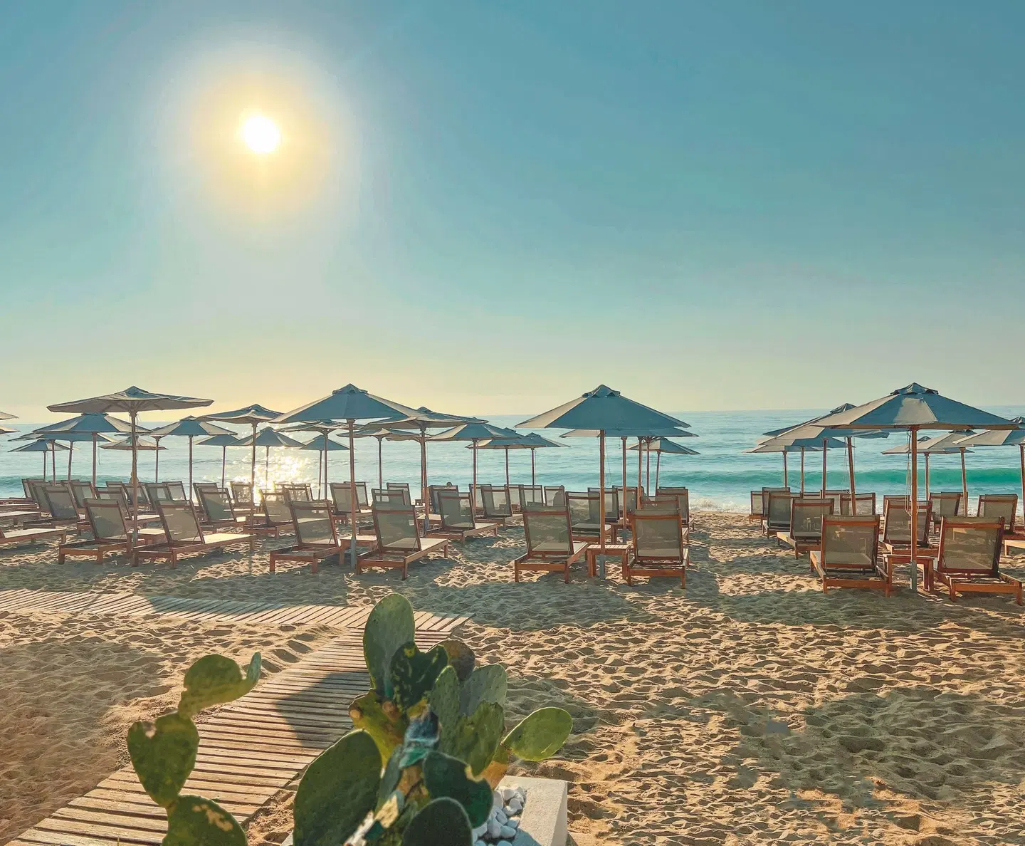 GRIFID Metropol BEACH