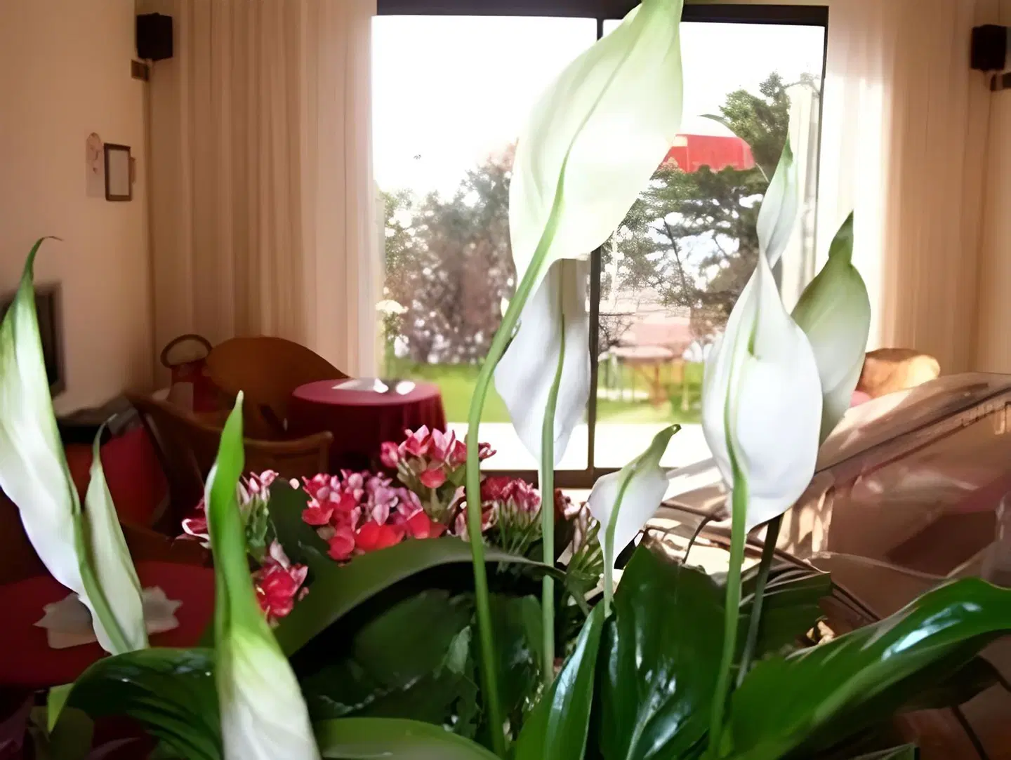Hotel Oasi Beach Terrasse