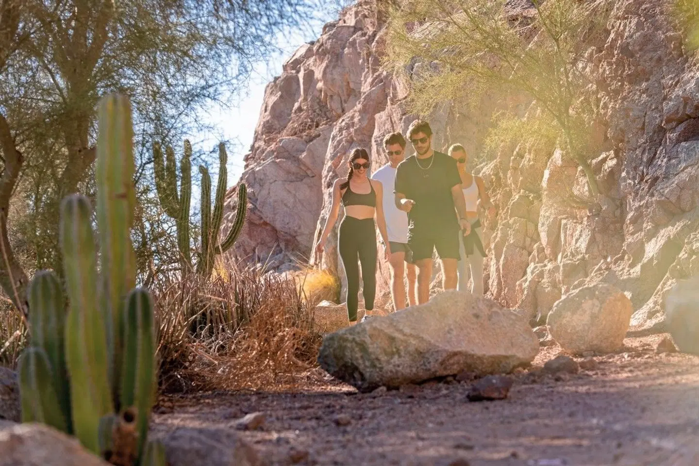 The Phoenician, a Luxury Collection Resort, Scottsdale LANDSCAPE