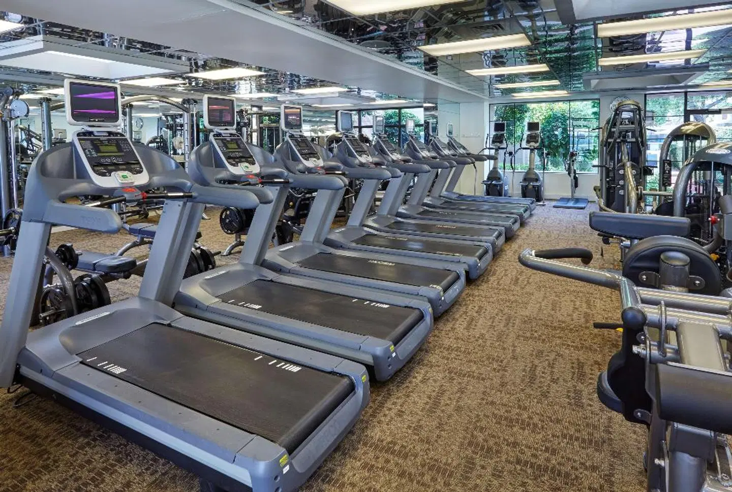 Homewood Suites by Hilton Halifax - Downtown SPORTS_AND_LEISURE