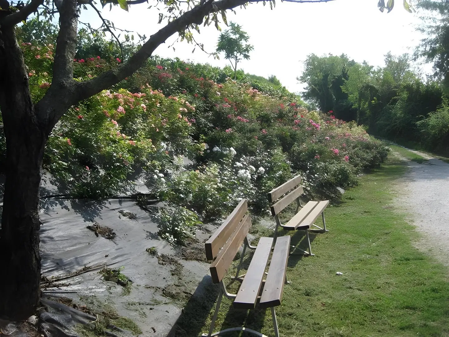 Agriturismo Tenuta San Leone Garten