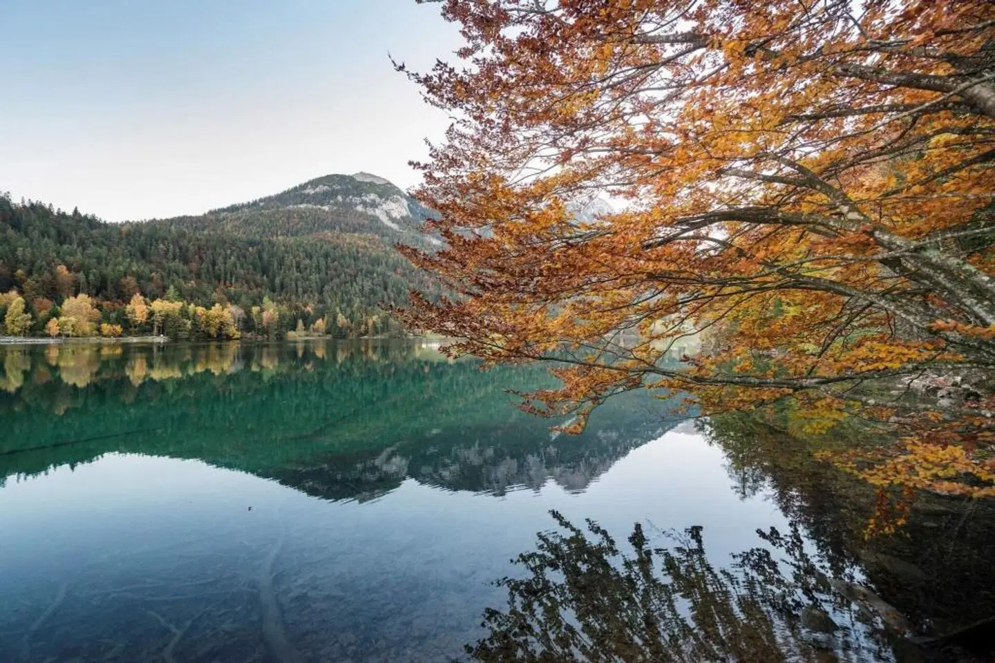 Tirol Lodge LANDSCAPE