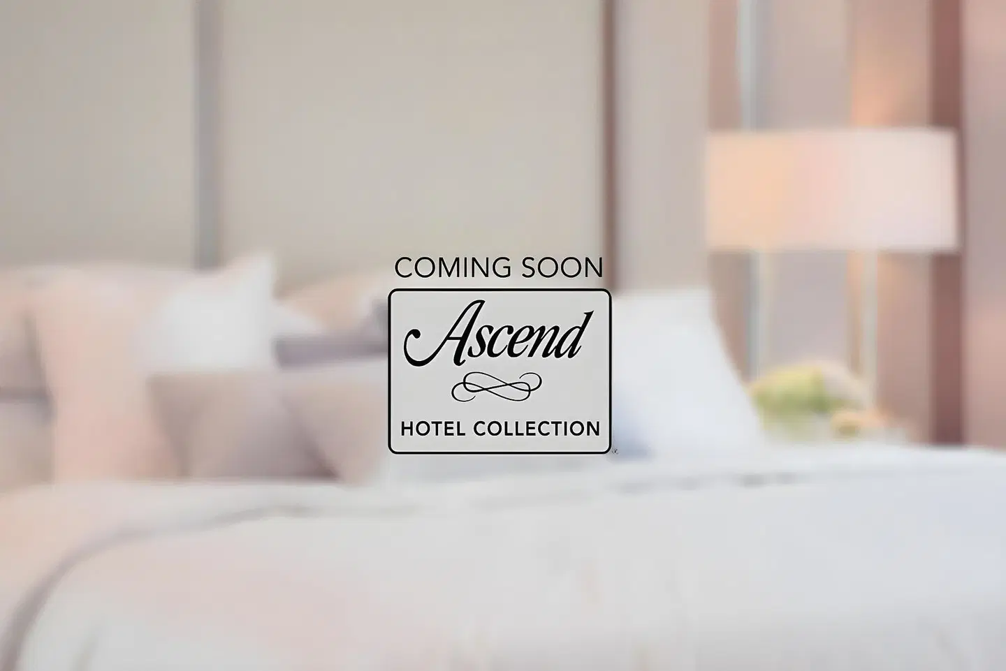 Halifax Tower Hotel & Conference Centre, Ascend Hotel Collection ROOM_EXAMPLE