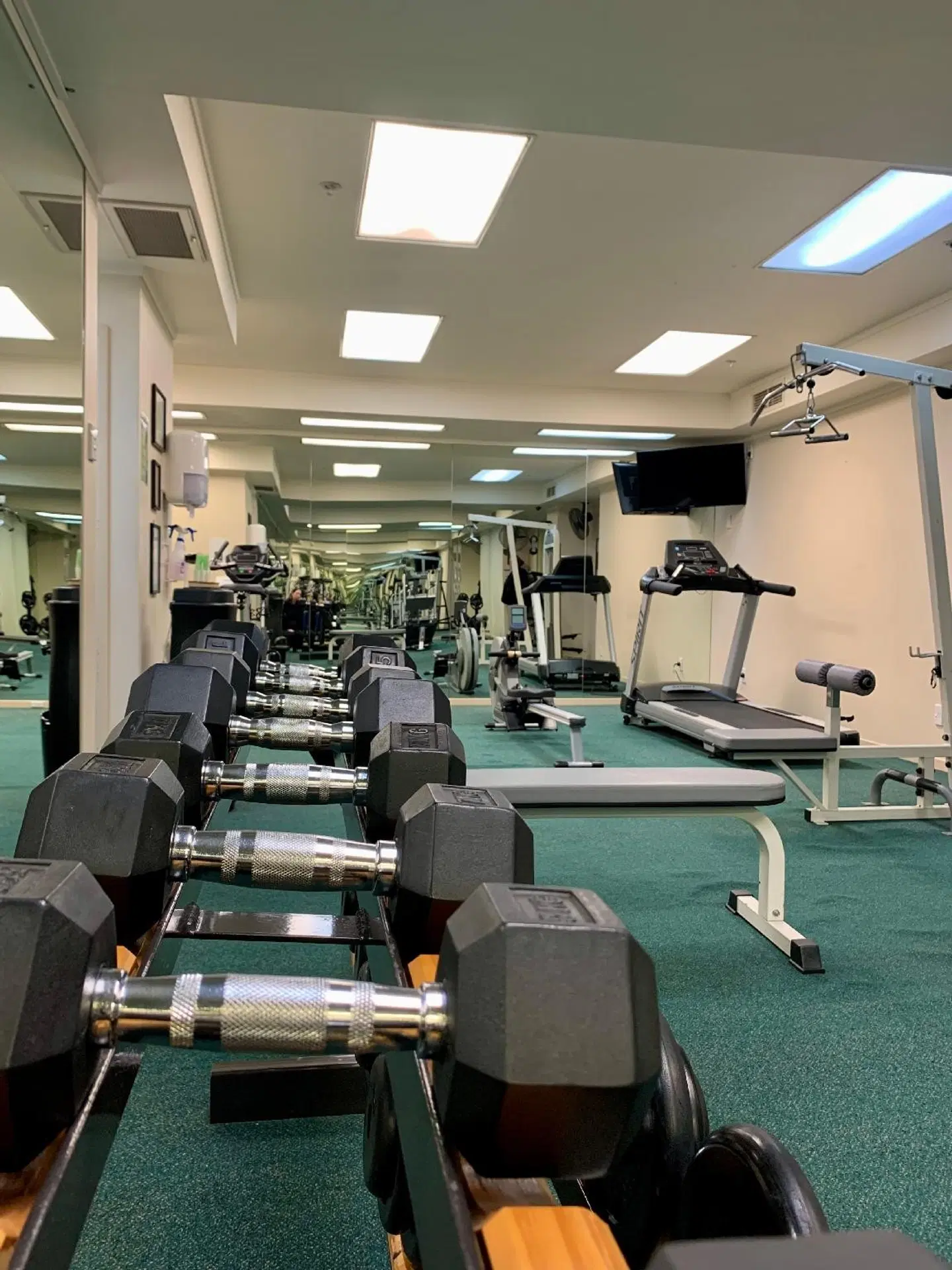 Rutherford Hotel Nelson - A Heritage Hotel SPORTS_AND_LEISURE