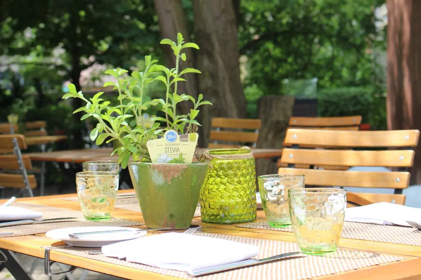 Alexandersbad Terrasse