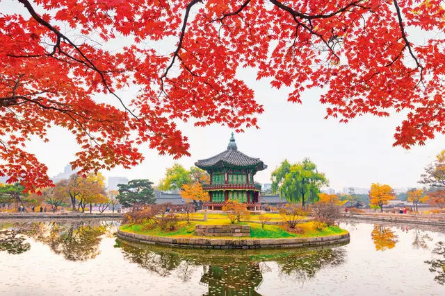 Südkorea aktiv (nur Landprogramm) Garten