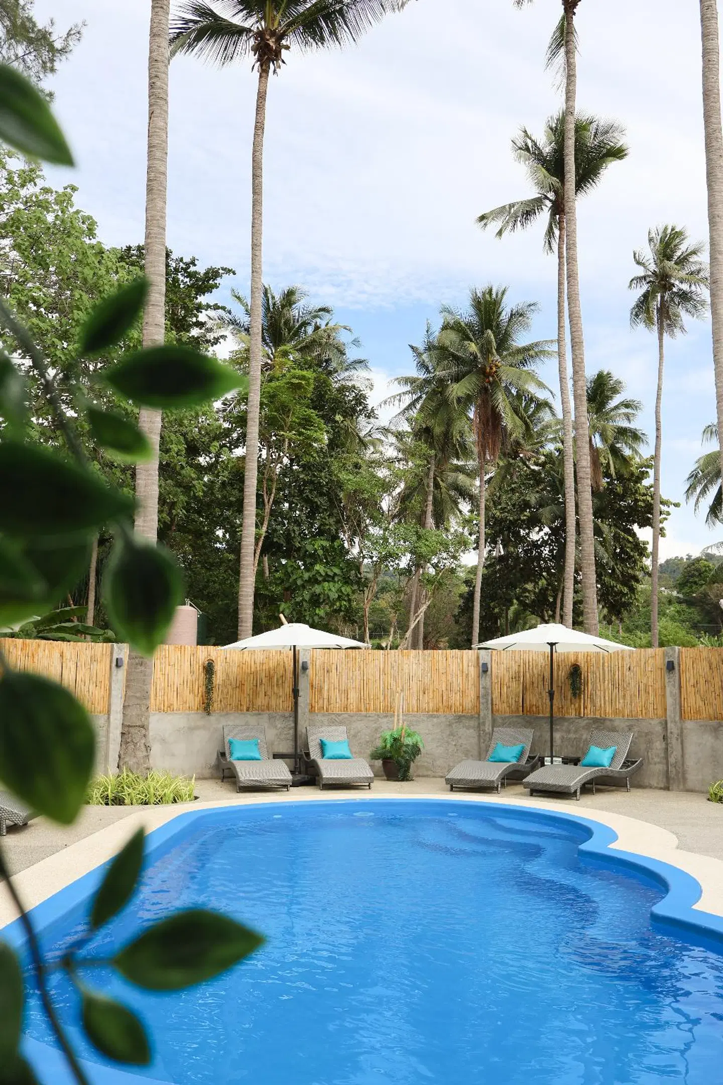 The Lazy Lodge OUTDOOR_POOL