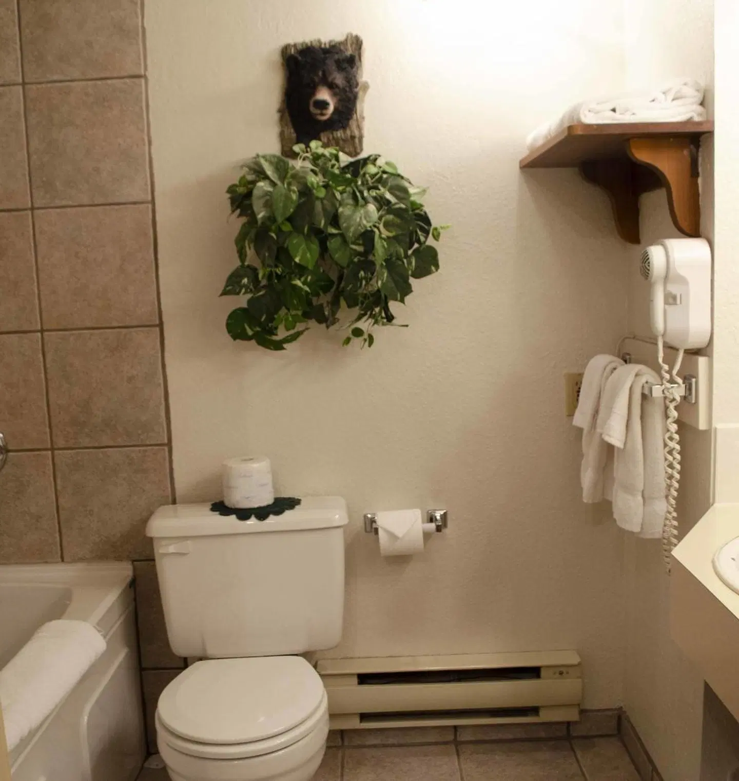 Crandell Mountain Lodge Badezimmer