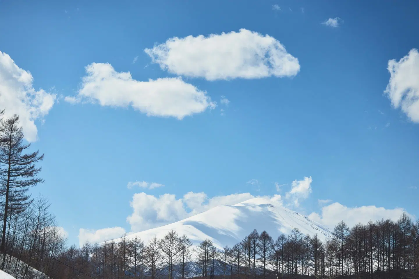 Holiday Inn Resort ANA Karuizawa by IHG LANDSCAPE