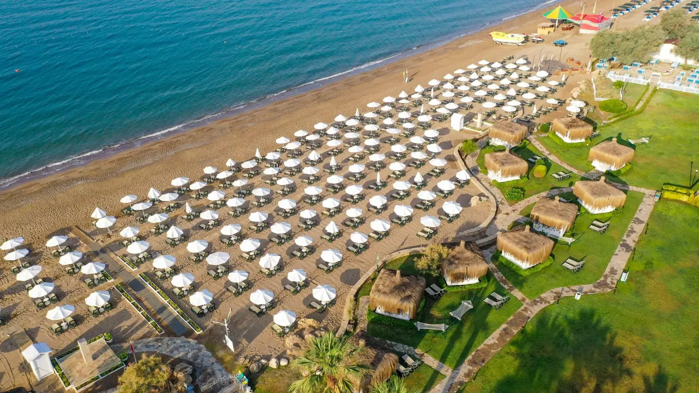 Crystal Tat Beach Pearl Collection BEACH