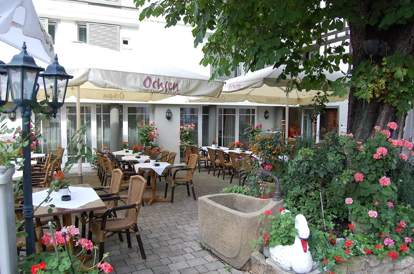 Ochsen Terrasse