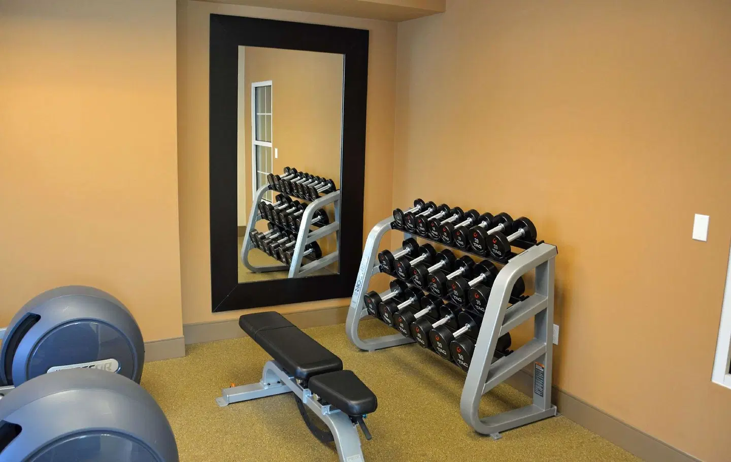 Homewood Suites by Hilton Albany SPORTS_AND_LEISURE