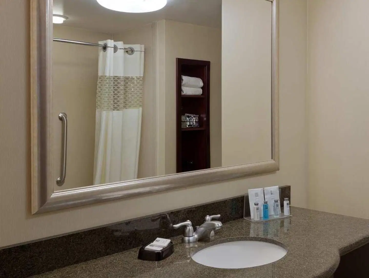 Hampton Inn & Suites Syracuse Dewitt Badezimmer