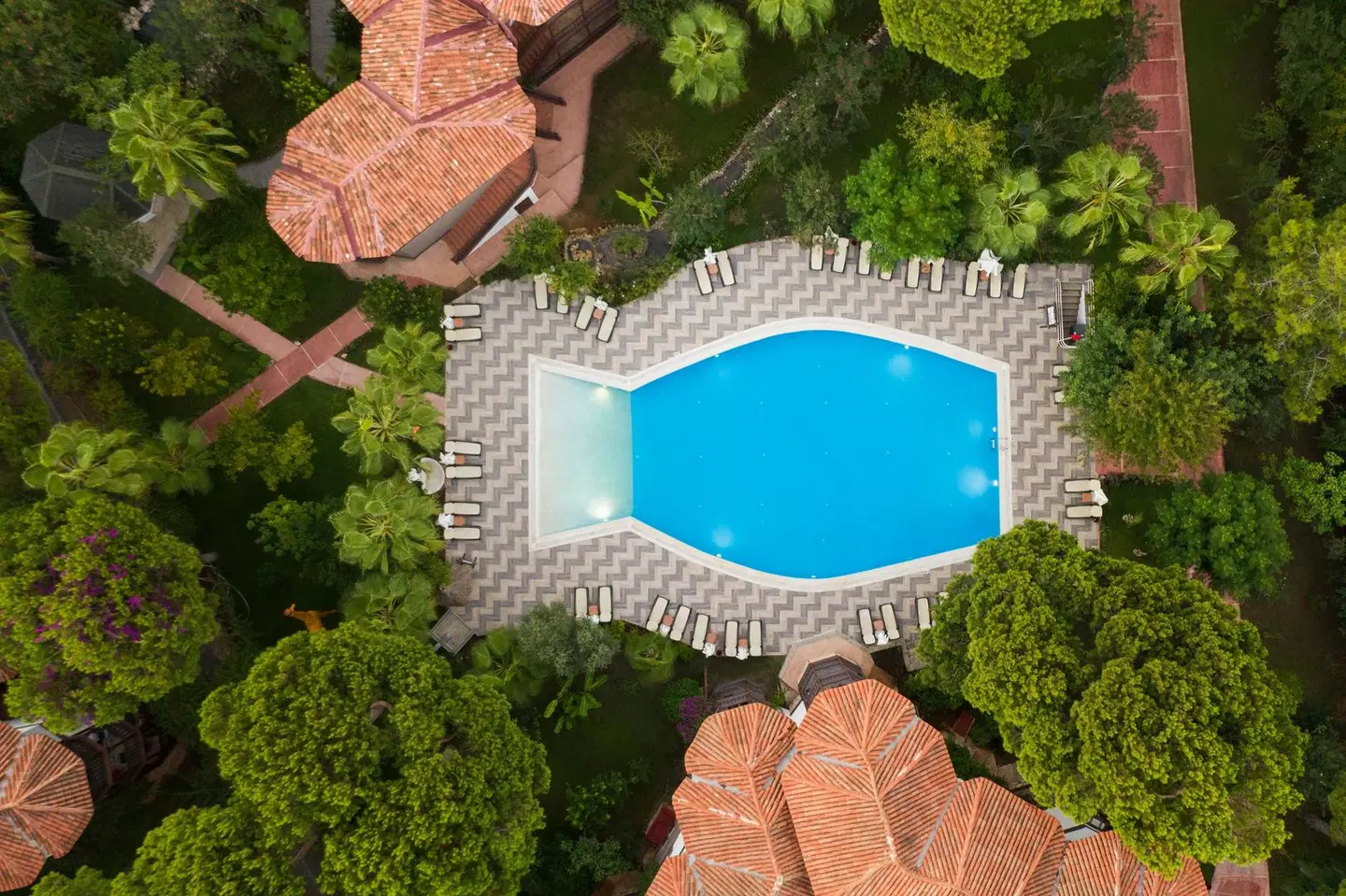 Selectum Family Resort Belek OUTDOOR_POOL