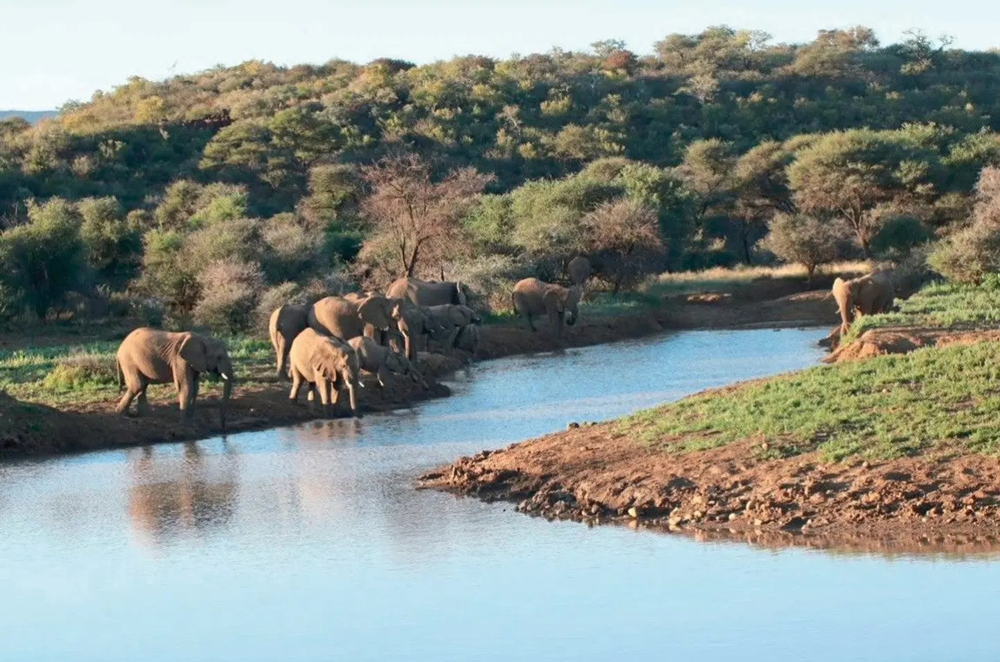 TimBila Safari Lodge LANDSCAPE