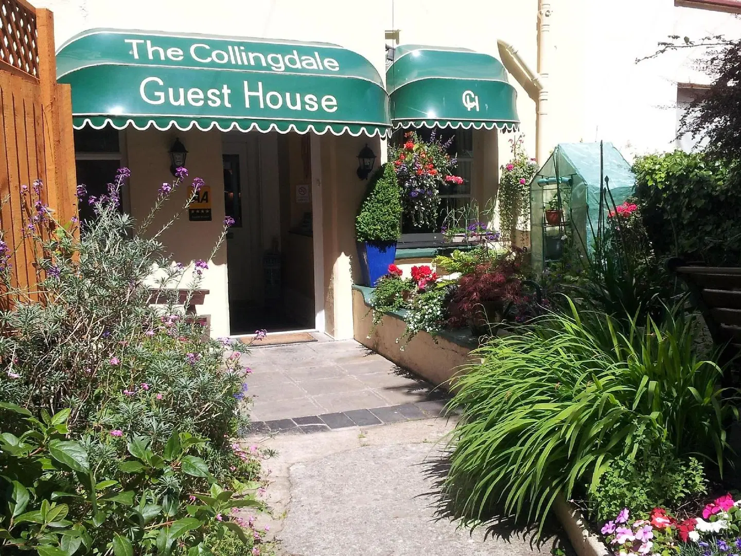 The Collingdale Guest House Garten