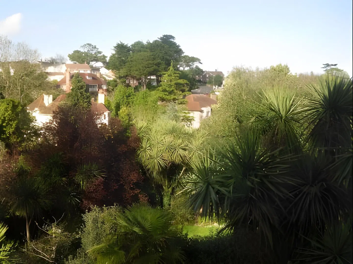 The Charterhouse LANDSCAPE