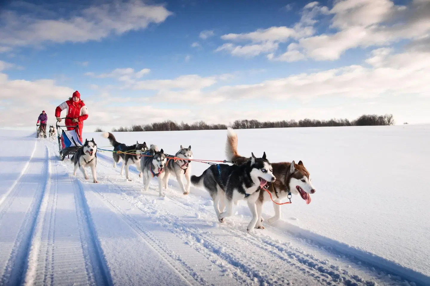 InterContinental Sapporo by IHG SPORTS_AND_LEISURE