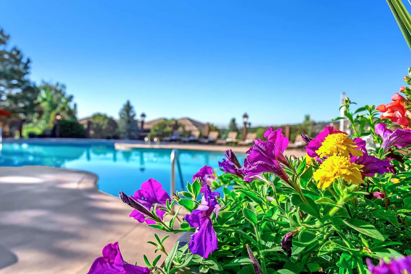 Cheyenne Mountain Resort OUTDOOR_POOL