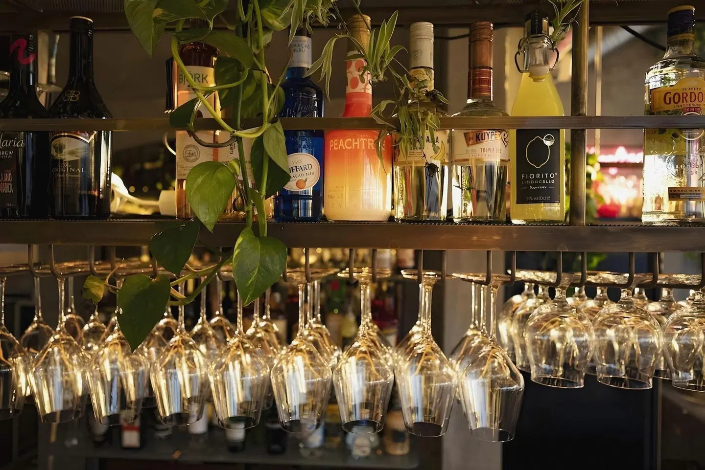 The Greenhouse Hotel Restaurant