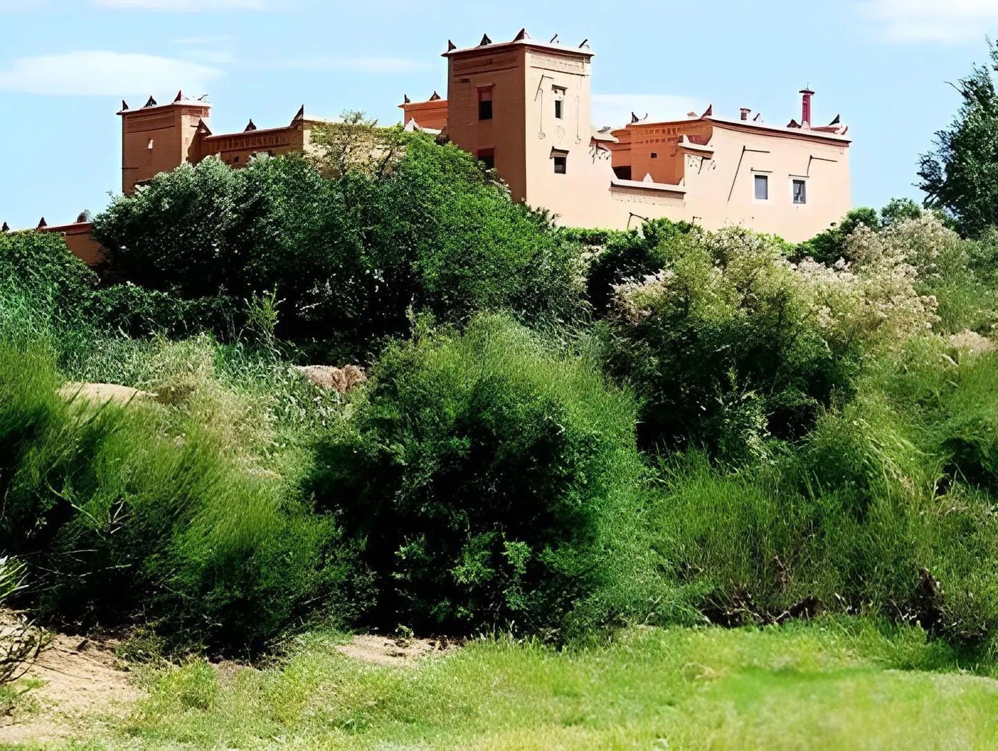 La Perle Du Dades Garten