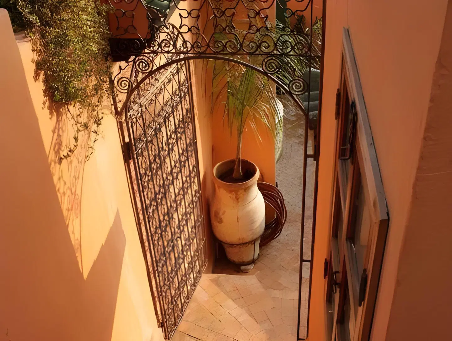 Riad Benchekroun HEALTH_BEAUTY