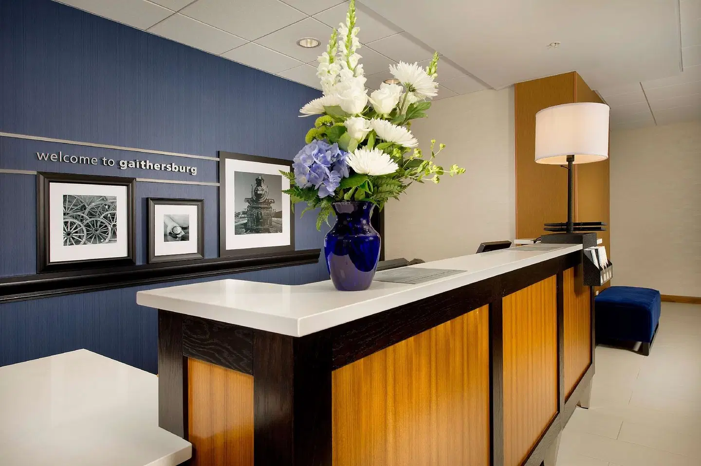 Hampton Inn & Suites Washington DC North/Gaithersburg LOUNGE_LOBBY