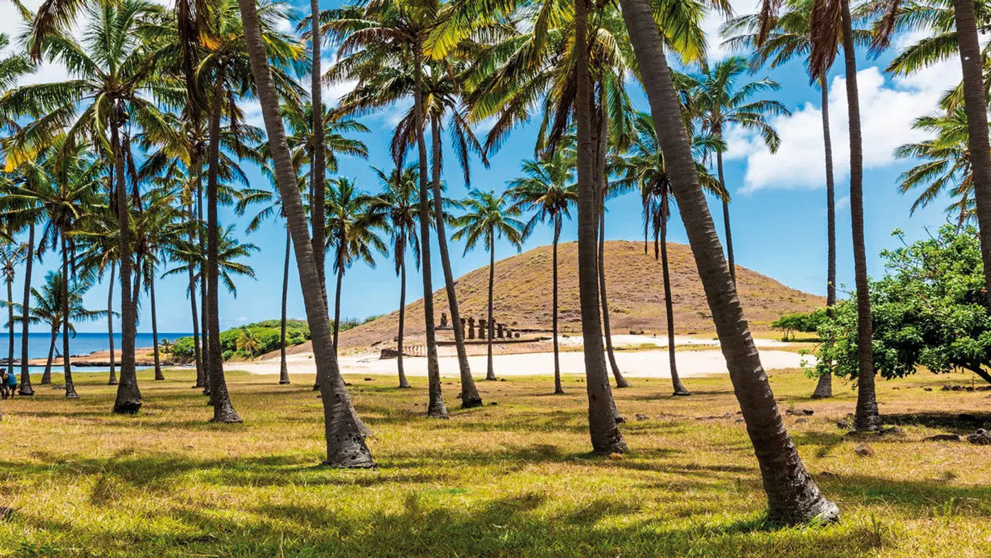 Nayara Hangaroa LANDSCAPE