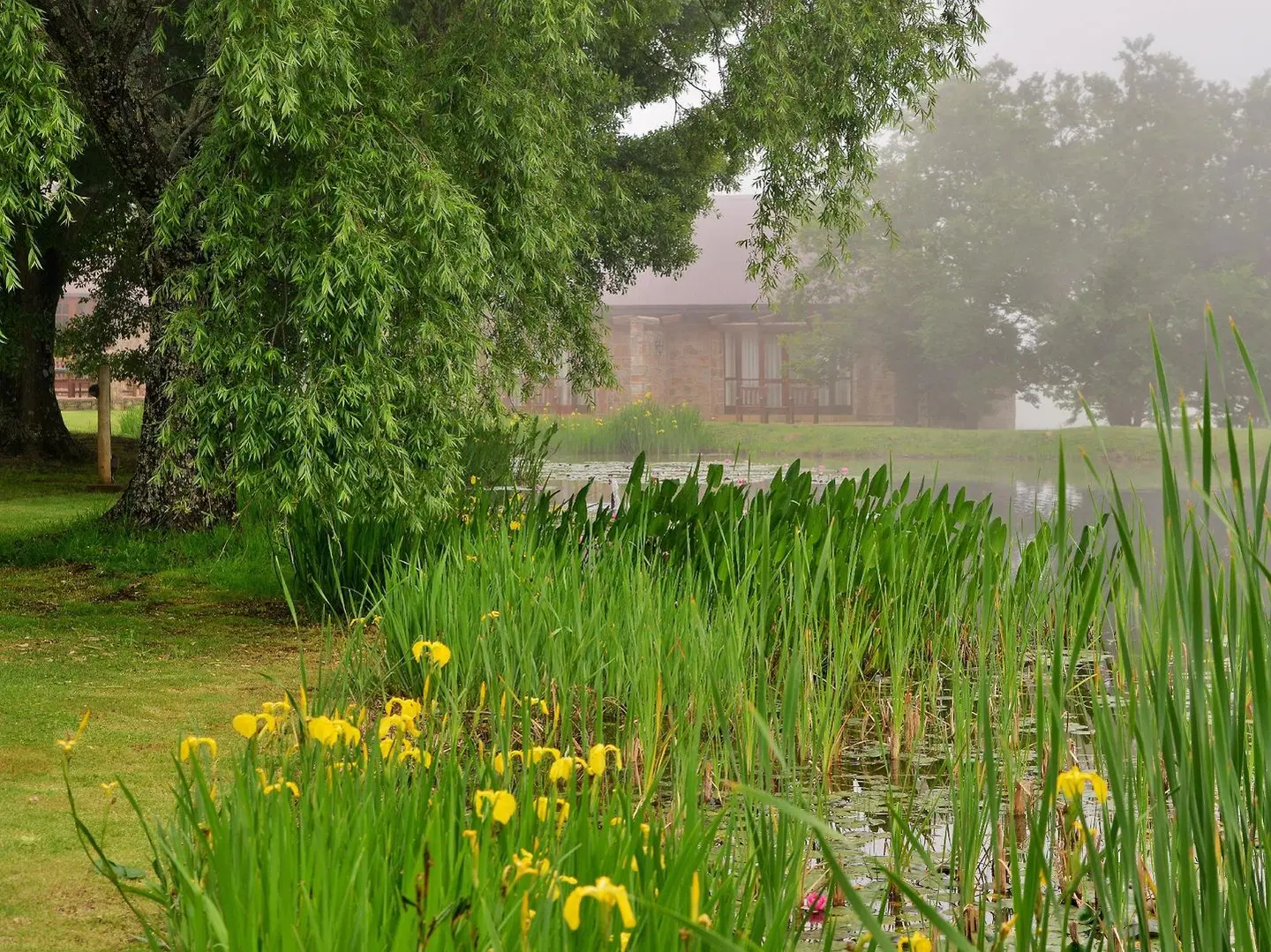 Walkersons Hotel & Spa LANDSCAPE