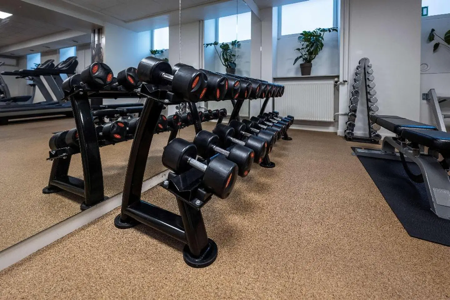 Hotel Mayfair SPORTS_AND_LEISURE