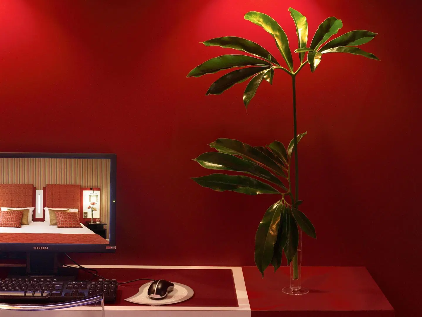 Hôtel Opéra Opal ROOM_EXAMPLE