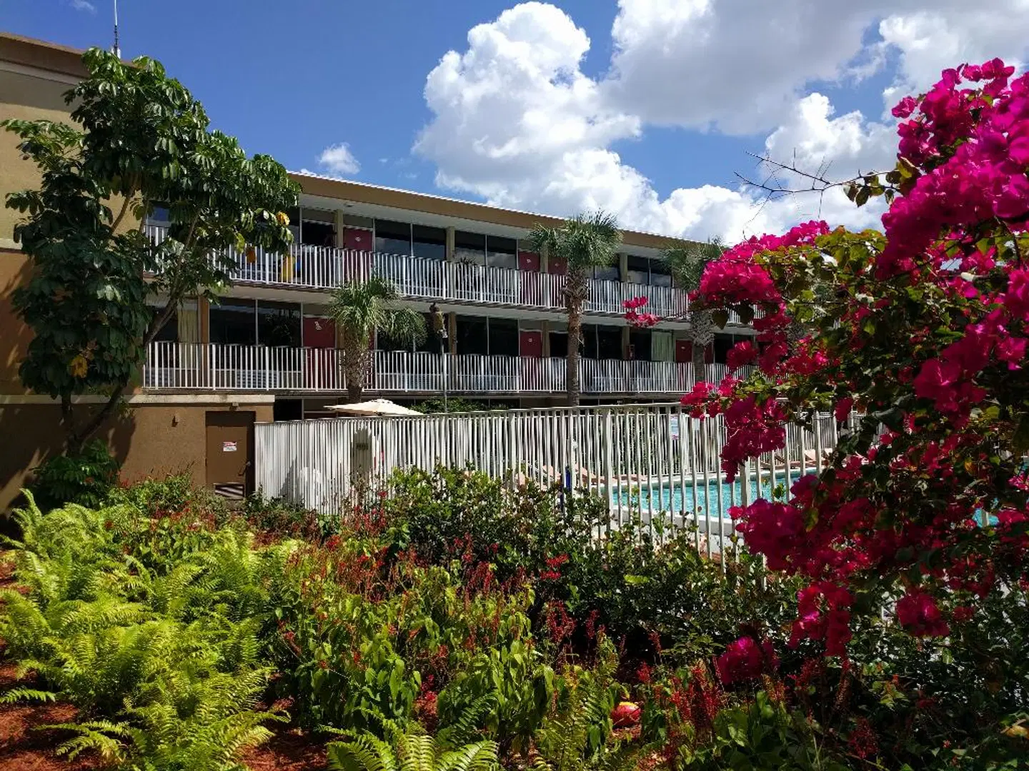 Red Carpet Inn Airport Fort Lauderdale EXTERIOR