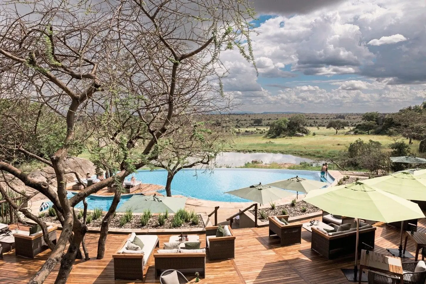 Four Seasons Serengeti Lodge OUTDOOR_POOL