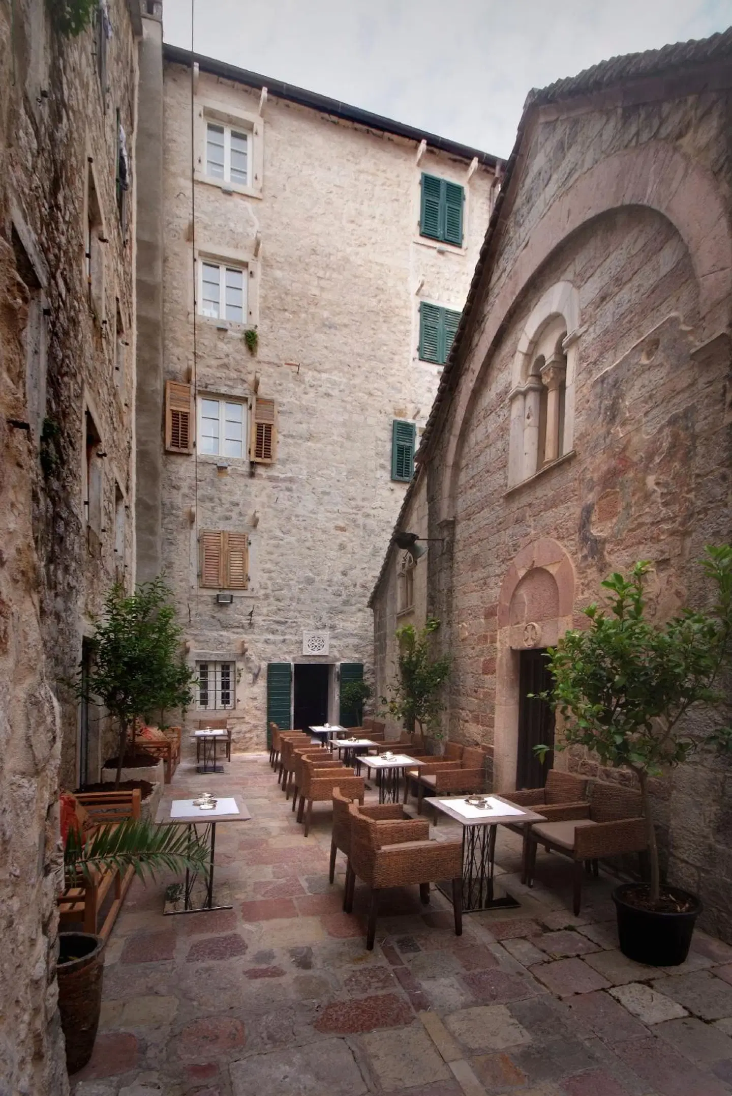 Hippocampus EXTERIOR