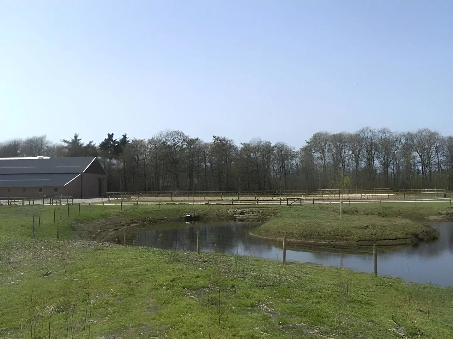 Horsetellerie Rheezerveen Tiere