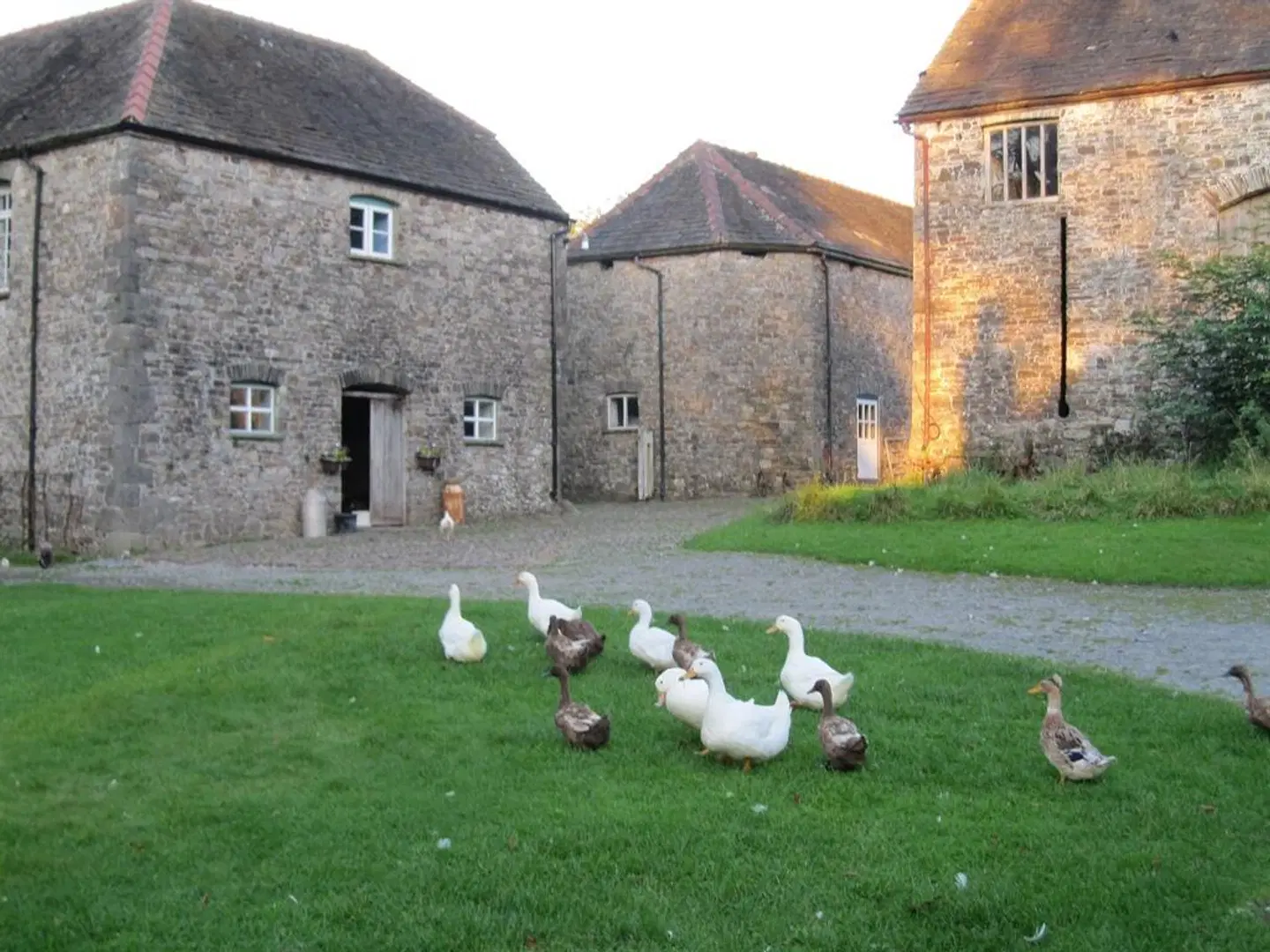 Glynhir Mansion Garten