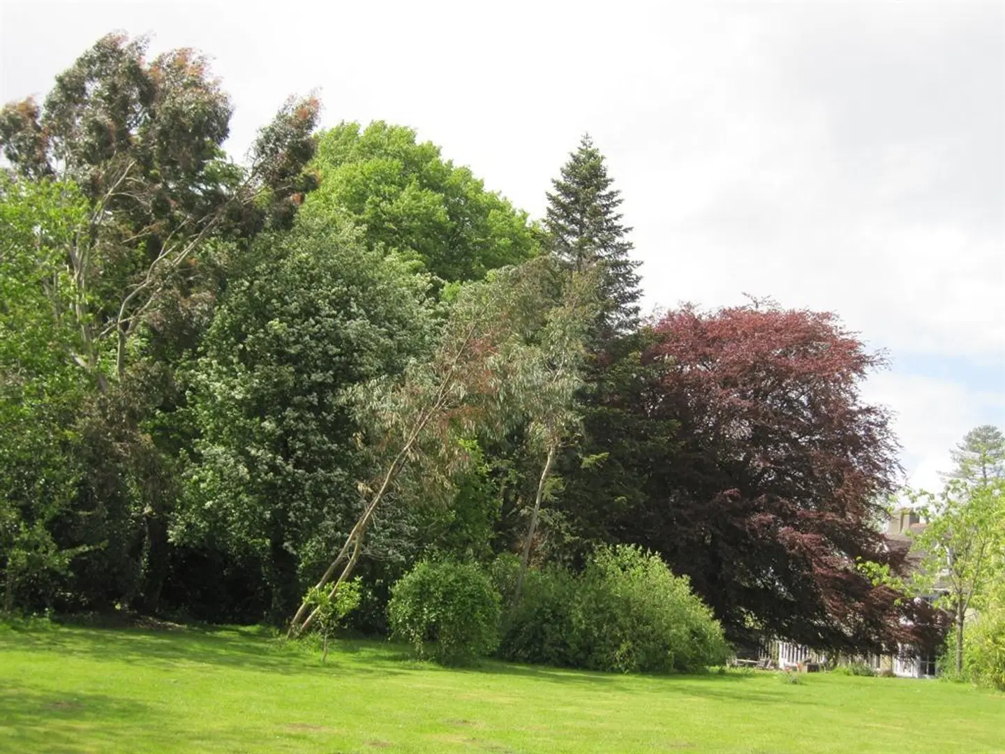 Glynhir Mansion Garten