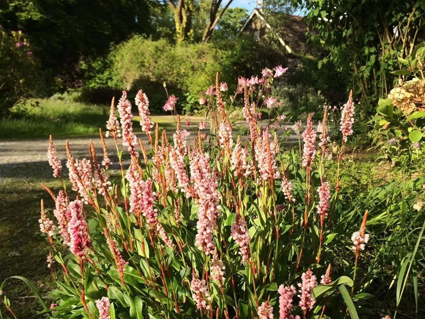 Glynhir Mansion LANDSCAPE