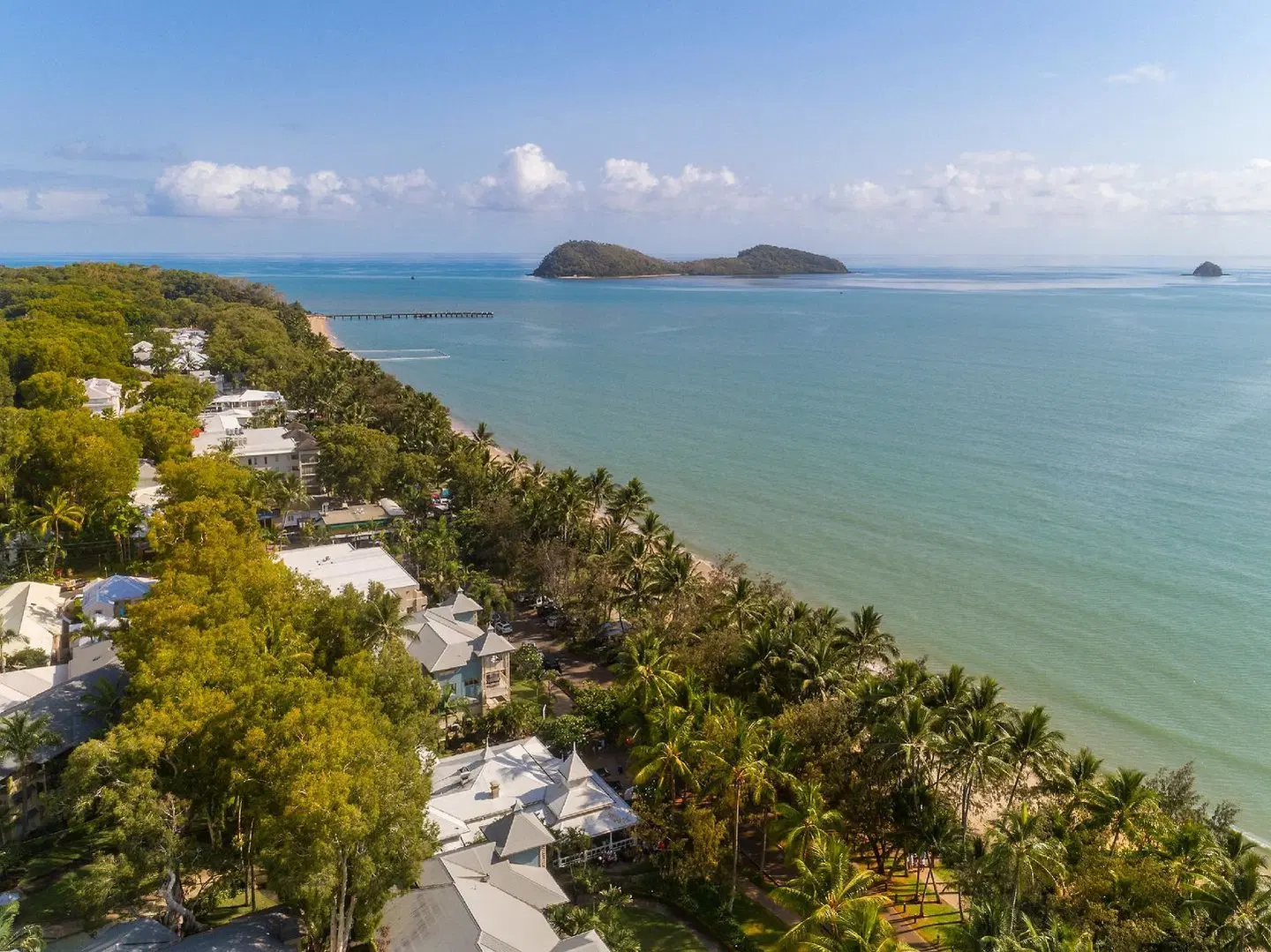 Drift Palm Cove LANDSCAPE