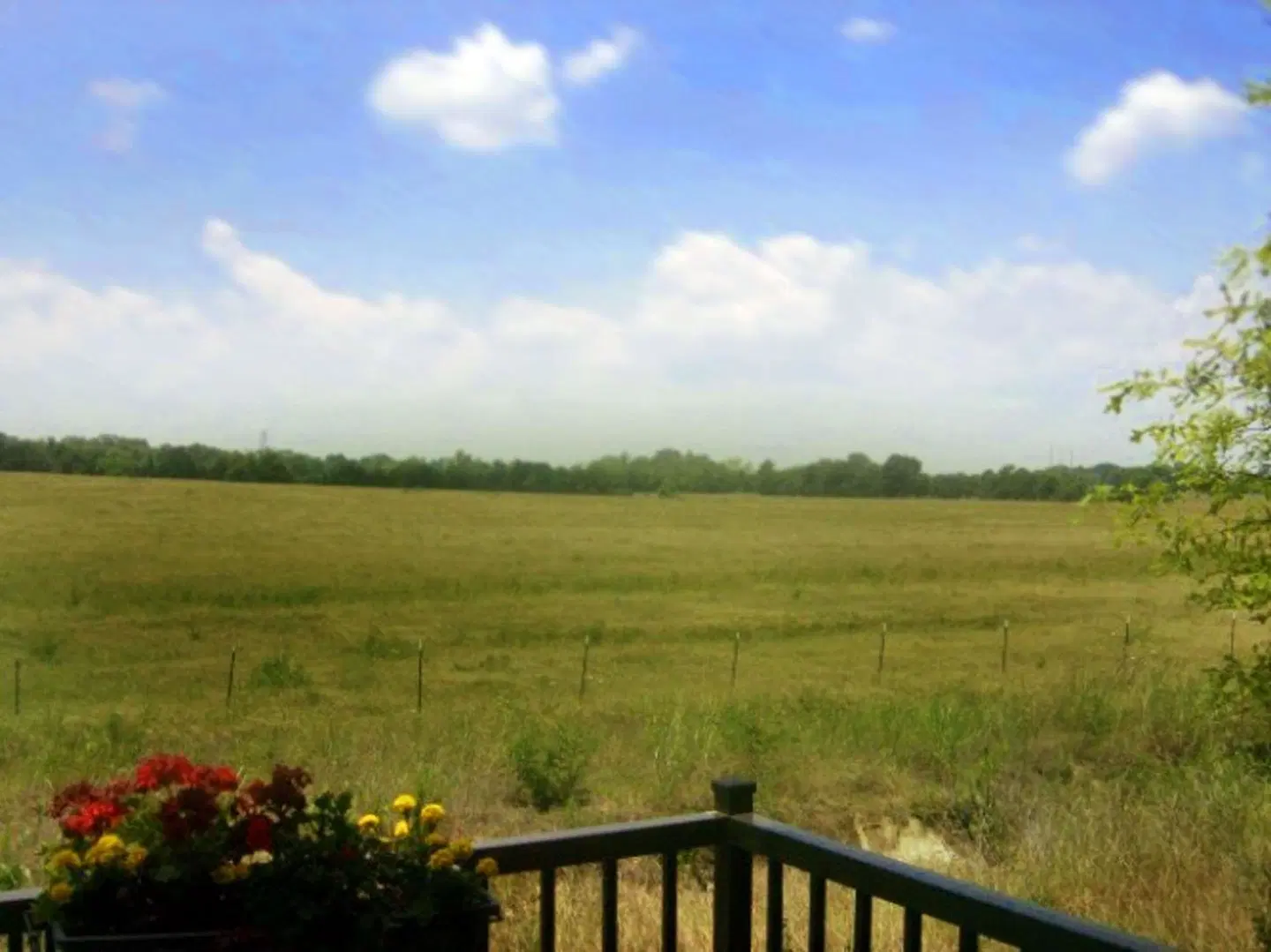 Hampton Inn Montgomery-South-Airport LANDSCAPE