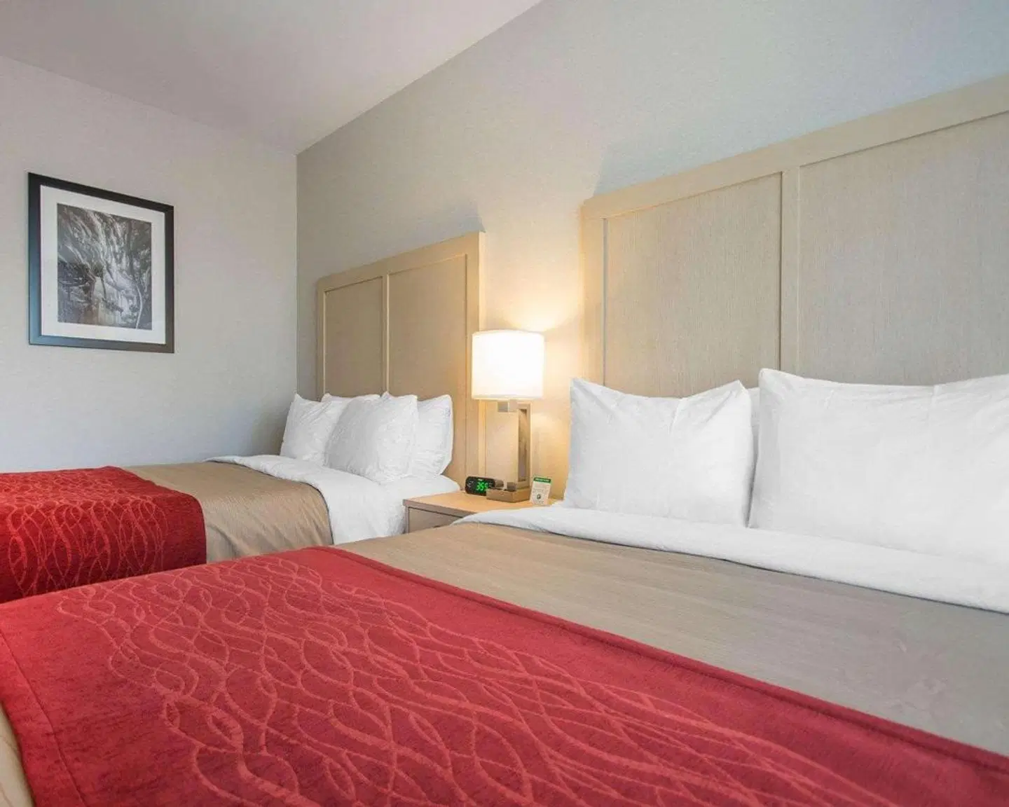 Comfort Inn & Suites, Campbell River ROOM_EXAMPLE