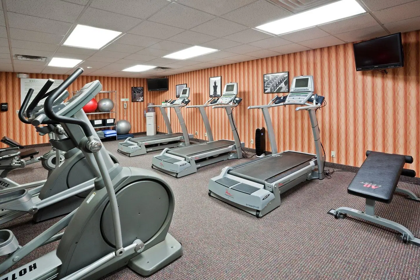 Holiday Inn Sioux Falls-City Centre by IHG SPORTS_AND_LEISURE