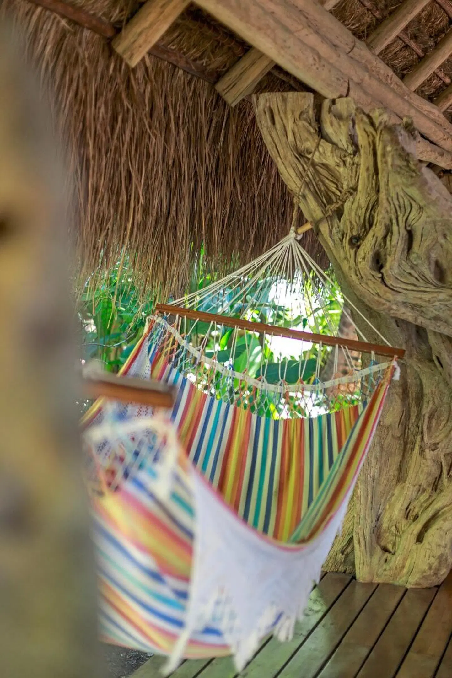 Isla Palenque Resort LOUNGE_LOBBY