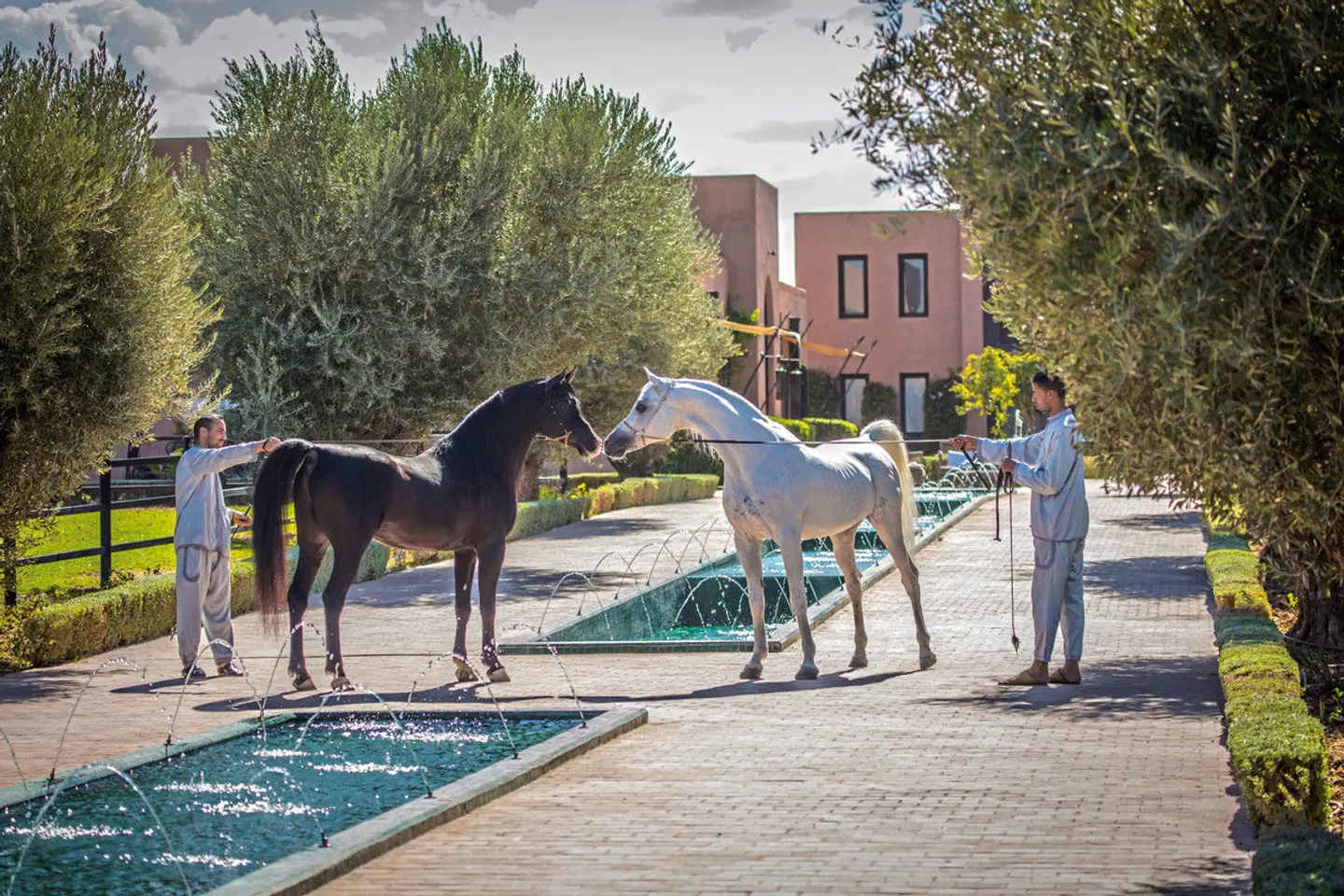 Selman Marrakech Tiere
