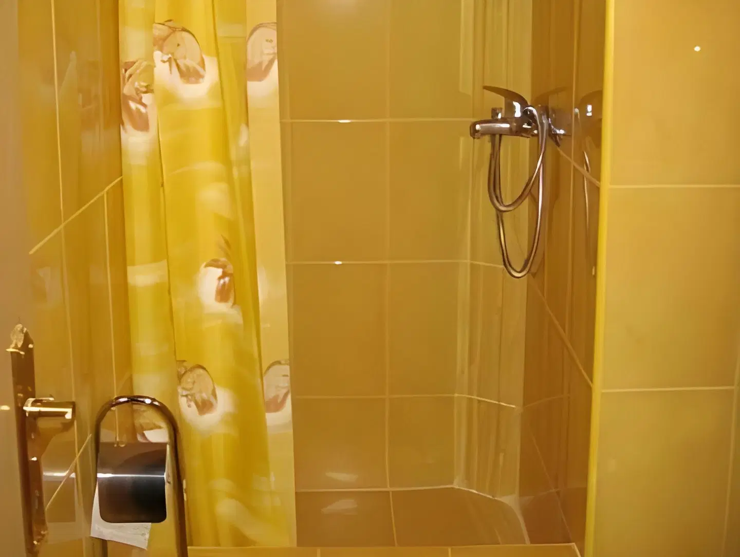 Guest House Tomanovic Badezimmer