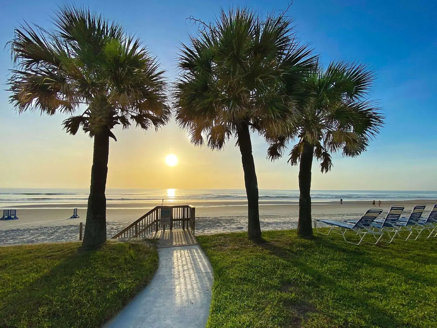Ocean Court Beachfront Hotel Garten