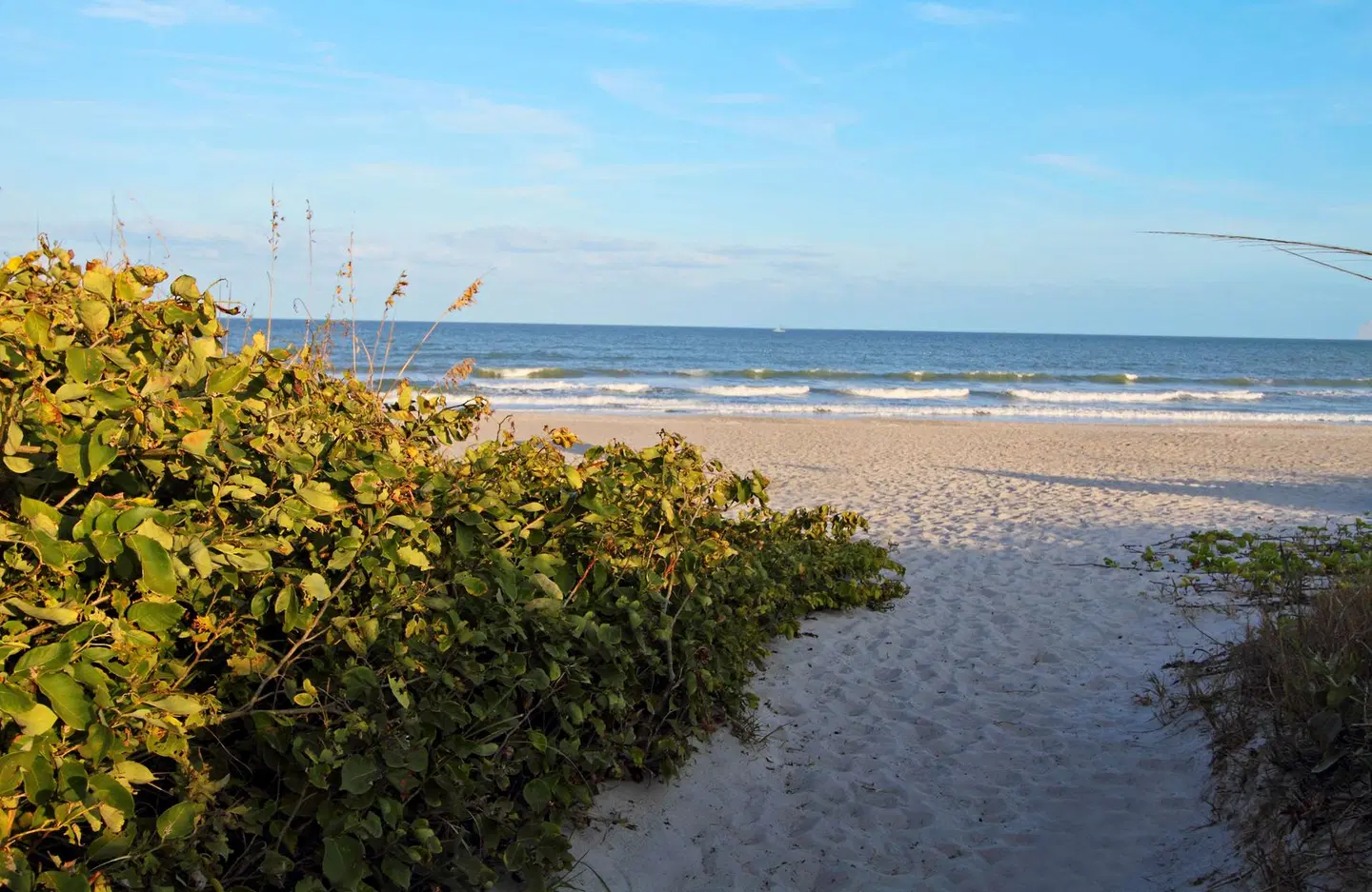 Hampton Inn Cocoa Beach/Cape Canaveral Strand