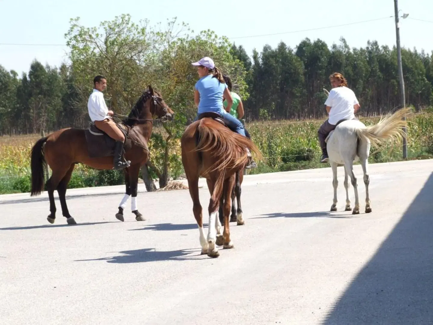 Rural A Coutada SPORTS_AND_LEISURE