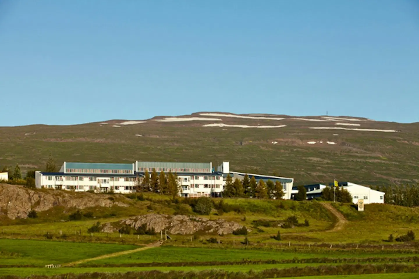 Edda Egilsstadir Tiere